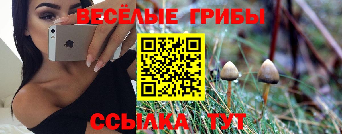 Псилоцибиновые грибы Cubensis  Галлюциногенные грибы ЛСД  Вход с VPN  Тутаев 